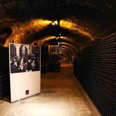 Apppartement Des Sacres De Reims Διαμέρισμα Εξωτερικό φωτογραφία