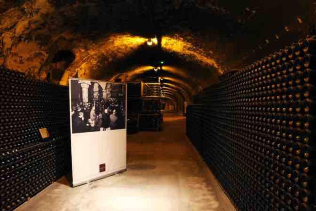 Apppartement Des Sacres De Reims Διαμέρισμα Εξωτερικό φωτογραφία